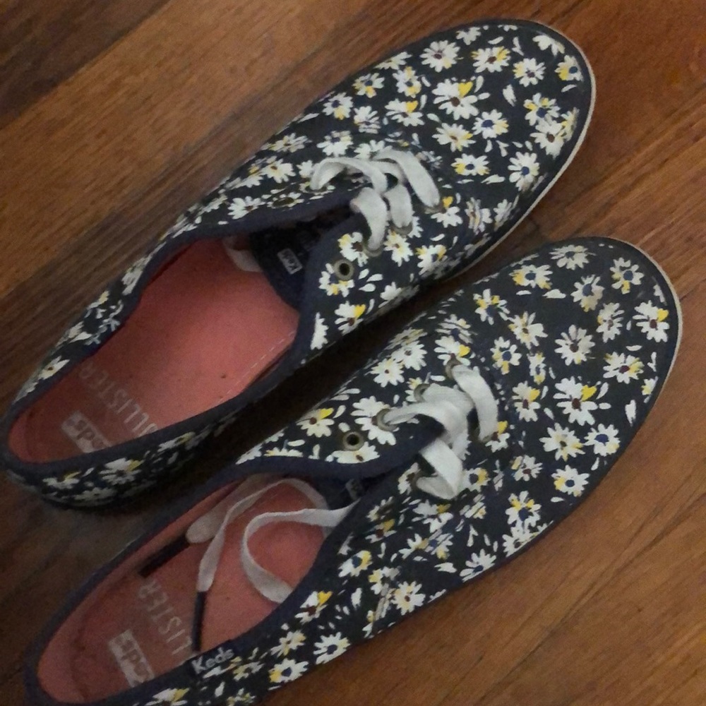 Hollister keds